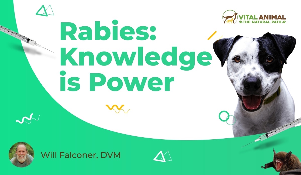 Rabies KIP Course title 1200