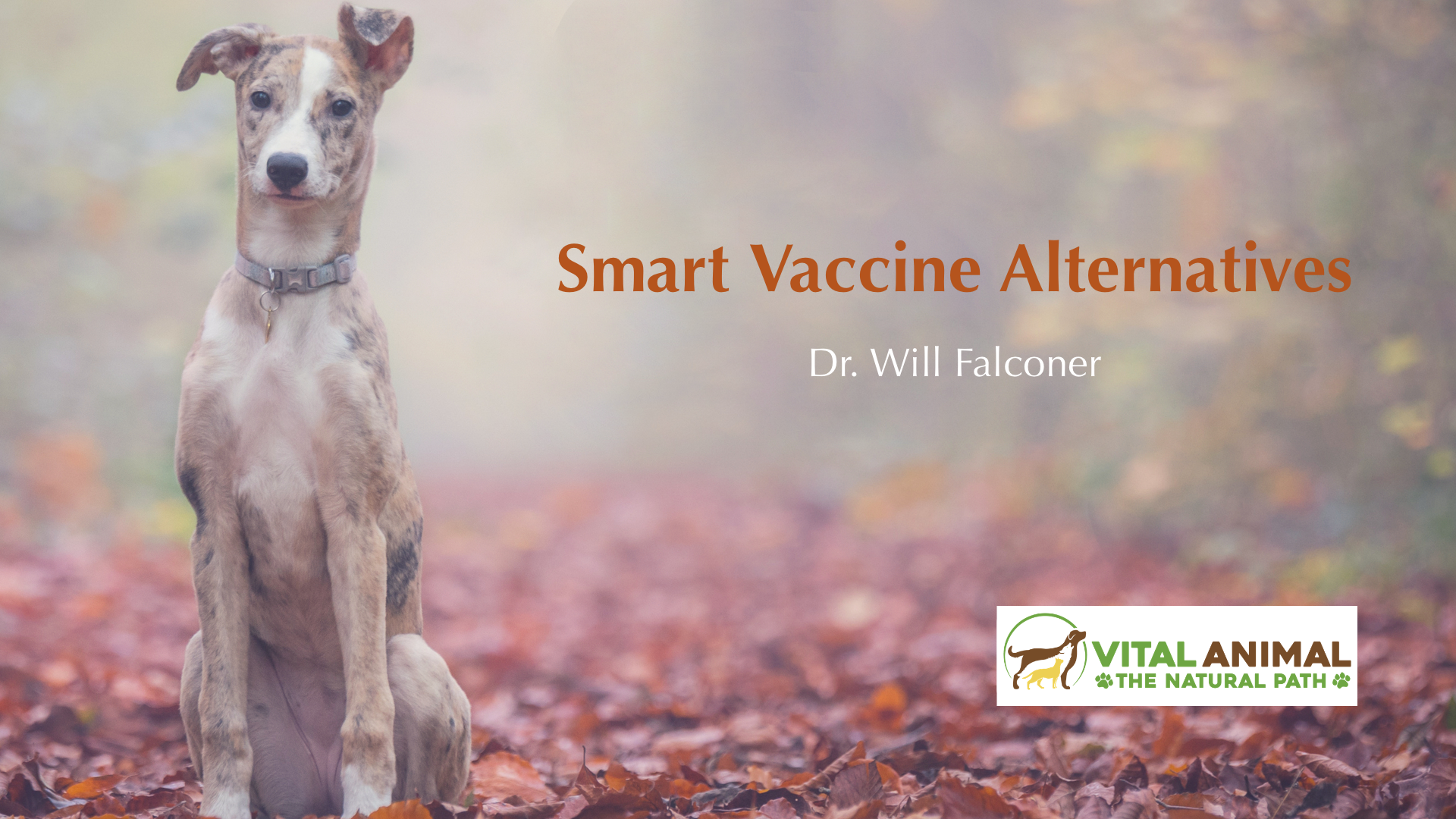 Smart Vaccine Alternatives Title image 1920x1280
